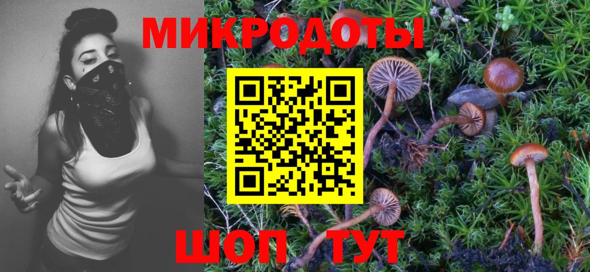 Галлюциногенные грибы прущие грибы Строитель