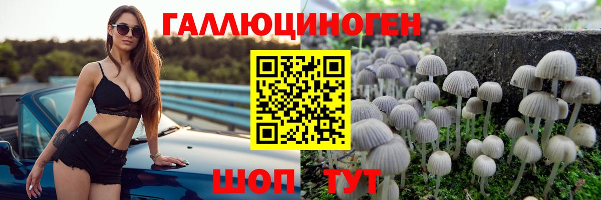Строитель  Галлюциногенные грибы мицелий  Вход с VPN 